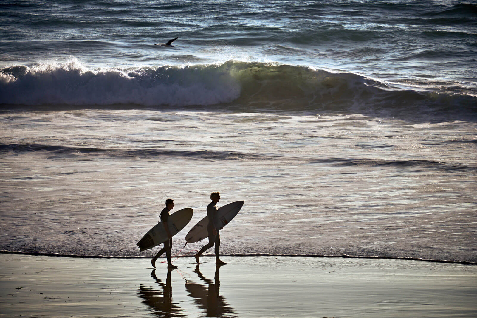 Family Friendly Restaurants Visit Dana Point