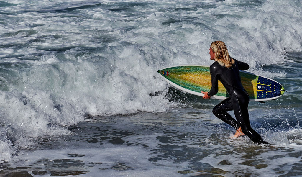 A woman goes surfing with her cats who are 'fascinated' by water