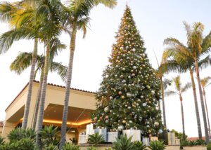 Ritz-Carlton Laguna Niguel Holiday Tree