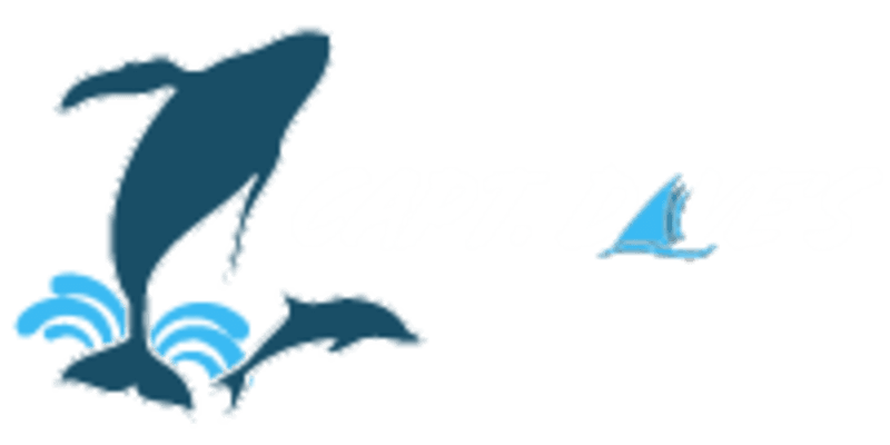 Captain Dave’s Dolphin and Whale Safari Logo