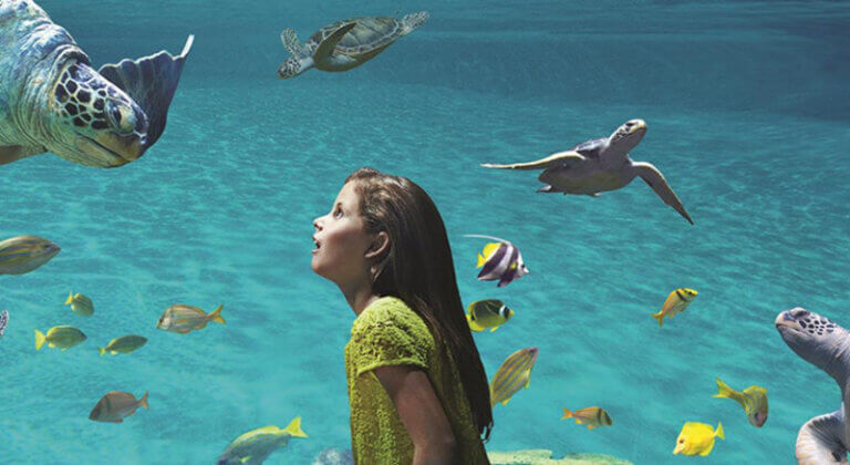 Sea World