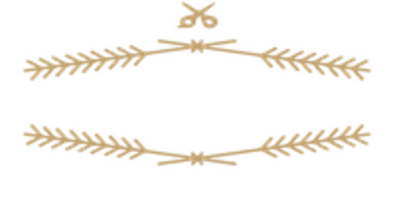 The District Salon Logo