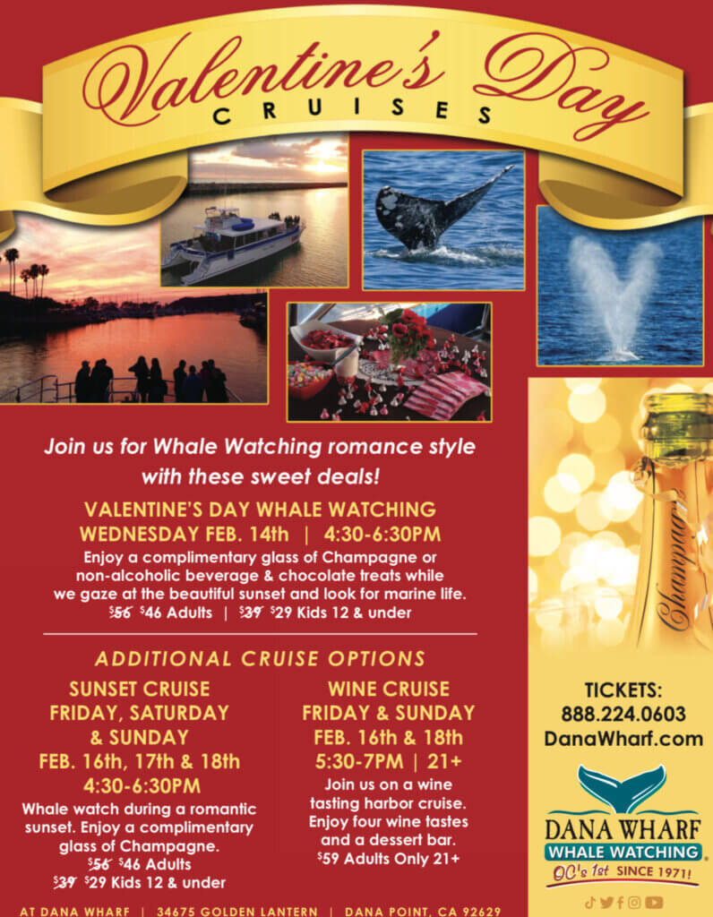 Sunset Cruise + Wine Cruise with Dana Wharf Visit Dana Point