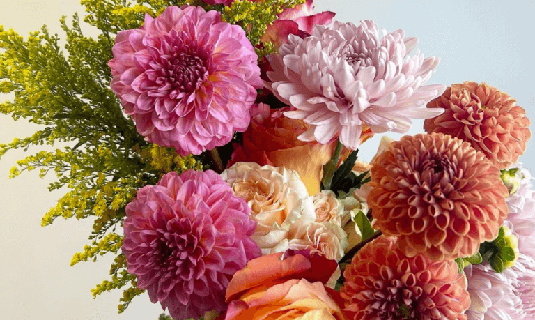 Wildflower Flowers + Gifts